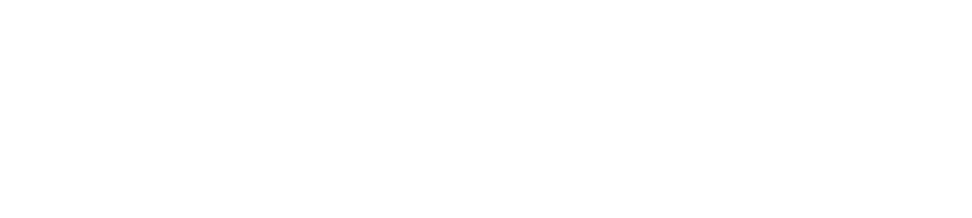 NEMO logo